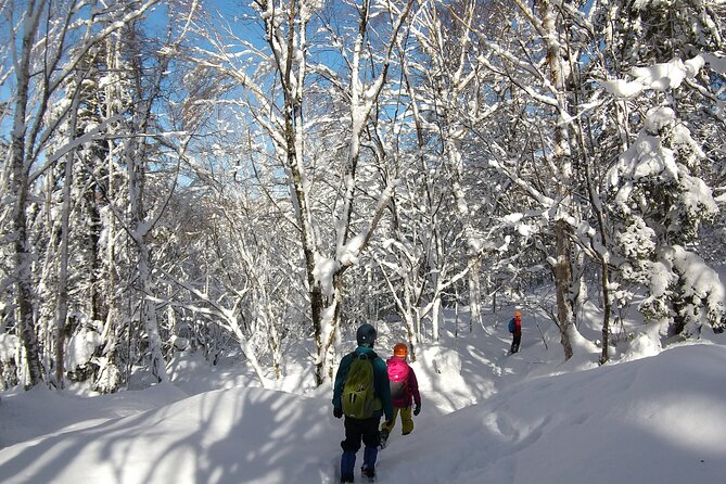 Frozen fall trekking - Who this tour suits best (and who should reconsider)