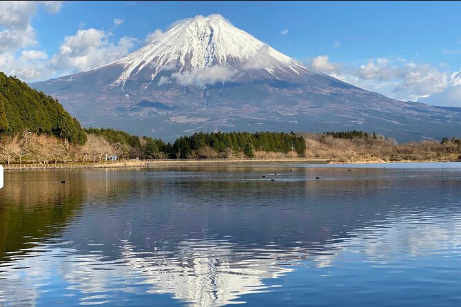 Fuji Highlights Group Car Tour by Shimizu Port with Local Guide - Key things to know before you go