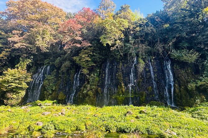 Fuji Highlights Group Car Tour by Shimizu Port with Local Guide - Shiraito Falls: white-silk waterfall energy for one full hour