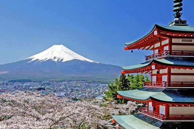 Fuji Speedway Self Drive & Mt. Fuji Private Tour pickup & dropoff - Key points before you go