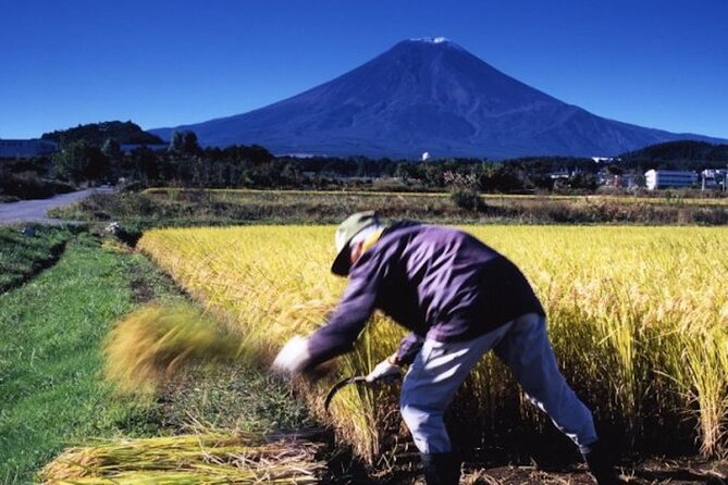 Fuji Speedway Self Drive & Mt. Fuji Private Tour pickup & dropoff - Who this private tour is best for