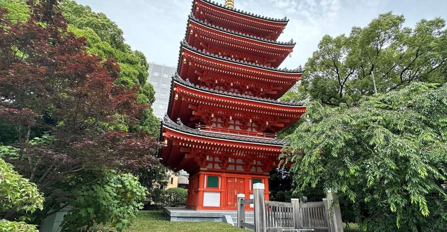 Fukuoka: Customized Private Tour - Ohori Park and ACROS Fukuoka, where calm meets city life