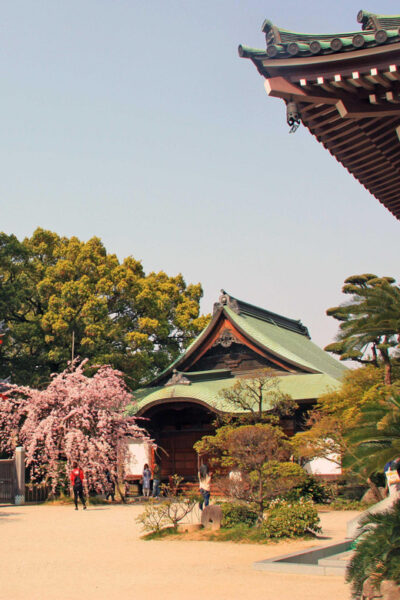 Fukuoka Essentials: History, Culture, & Charms