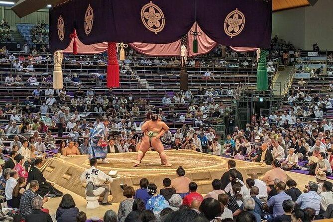 Fukuoka Sumo Tournament November 2025 with a Sumo Expert Guide - Key Points Before You Go
