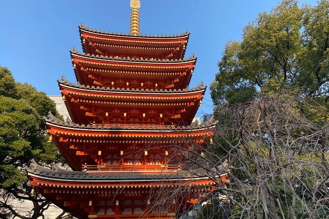 Fukuoka Takachiho Gorge, Amano Iwato and Scenic Train Tour - Should you book this Fukuoka day trip?
