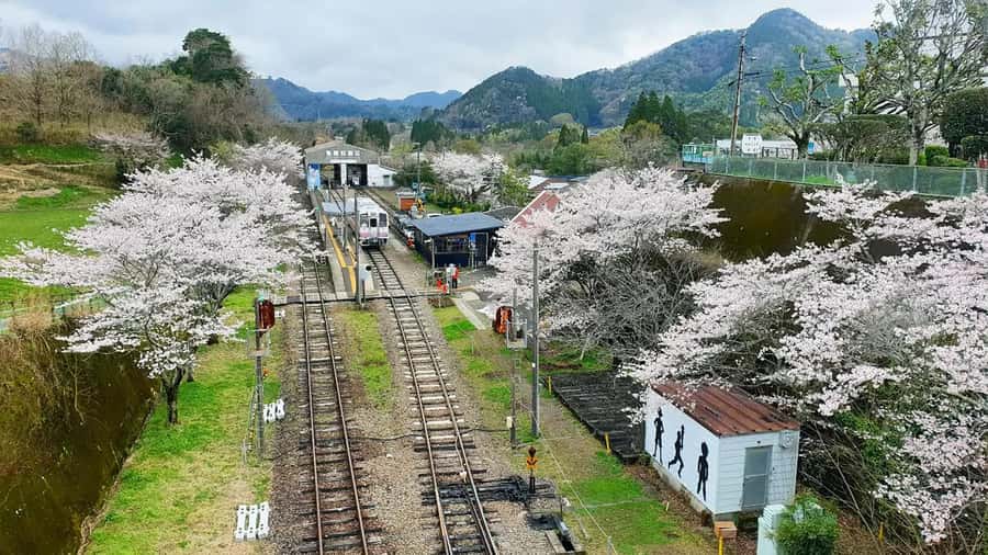 Fukuoka: Takachiho Gorge & Scenic Railway One Day Tour - The Vintage Train Ride: Seasonal Views and Nostalgic Showa-Era Style