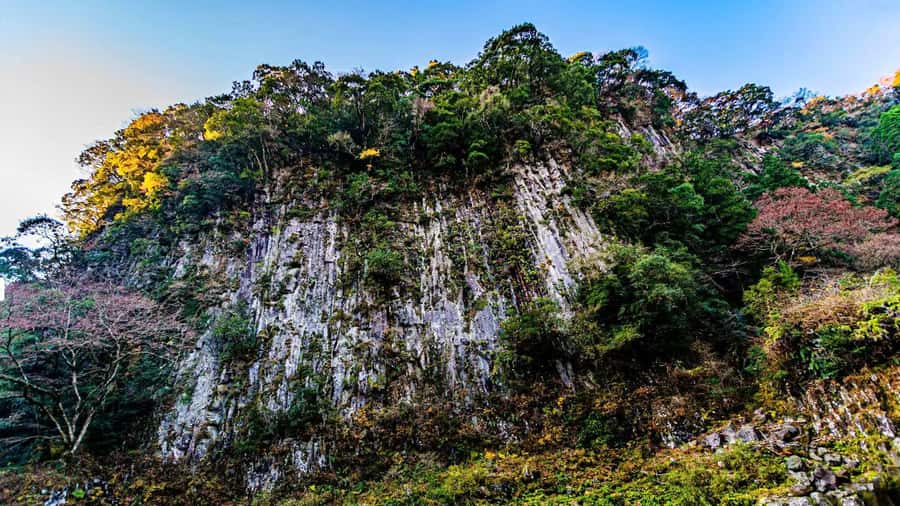 Fukuoka: Takachiho Gorge & Scenic Railway One Day Tour - Who Should Book This Tour (and Who Should Skip It)