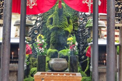 Full Day Guided Tour in Osaka by Van