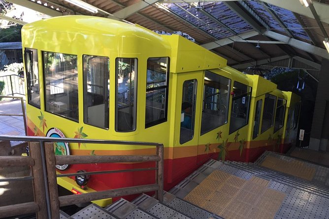 Full Day Hiking Tour at Mt.Takao including Hot Spring - Cable car timing, footwear, and the stuff that affects your comfort