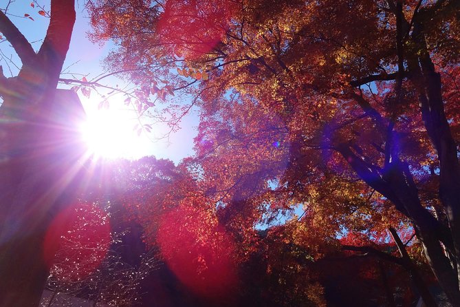 Full Day Hiking Tour at Mt.Takao including Hot Spring - How the private guide changes the hike