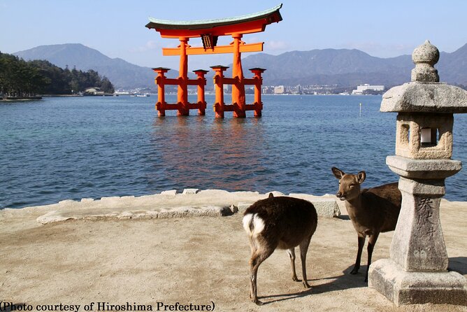 Full Day Hiroshima and Miyajima Bus Tour from Hiroshima - Peace Memorial Park and the Museum You Will Remember