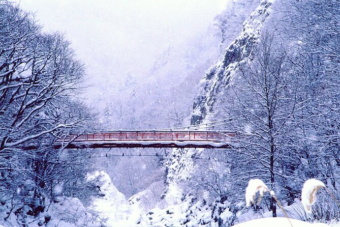 Full Day Private Skiing / Snowboarding Tour in Sapporo - Planning Your Morning: Meeting Point, Timing, and Gear Reality