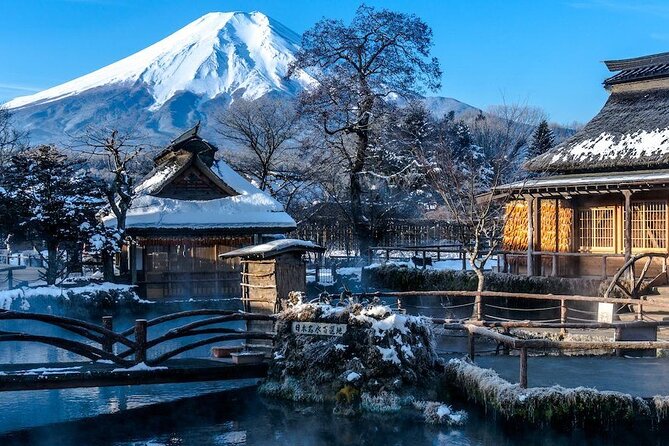 Full Day Private Tour in Mt. Fuji and Hakone - Key highlights worth planning around
