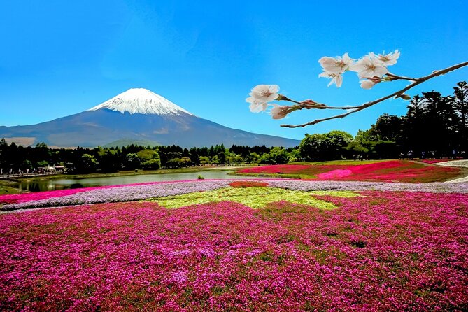 Full Day Private Tour in Mt. Fuji and Hakone - The Real Benefit: Skipping Tokyo-to-Fuji Travel Headaches