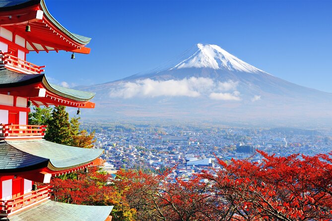Full Day Private Tour in Mt. Fuji and Hakone - Owakudani Valley: Volcanic Drama, Cable Car Access, Black Eggs