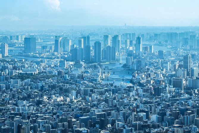 Full Day Tokyo Private Tour by Luxury Vehicle - Harajuku’s Takeshita Street and the Fast Switch to Shibuya