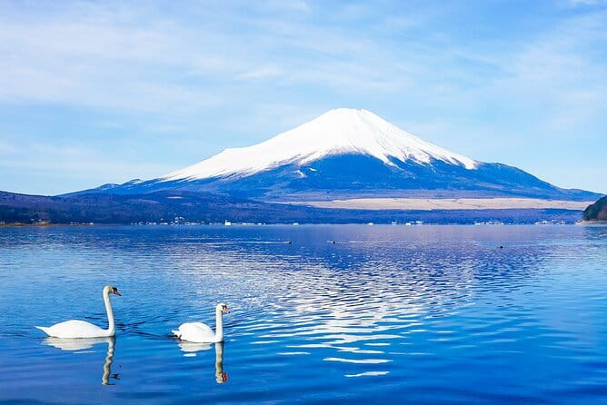 Full Day Tour at Mt. Fuji, Onsen, Lake Kawaguchi and Yamanaka - Key things to know before you go
