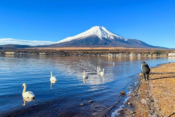 Full Day Tour at Mt. Fuji, Onsen, Lake Kawaguchi and Yamanaka - Stop 2: Mt. Fuji 5th Station, what 40 minutes is really for