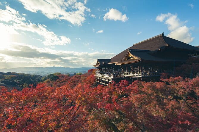 Full Day Tour of Kyoto with Private Transportation - What You Really Get for $247.92 Per Person