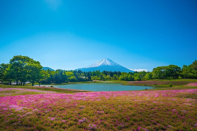 Full Day Tour to Mount Fuji in Spanish - Entering the Fuji Loop from Mishima at 8:00 am