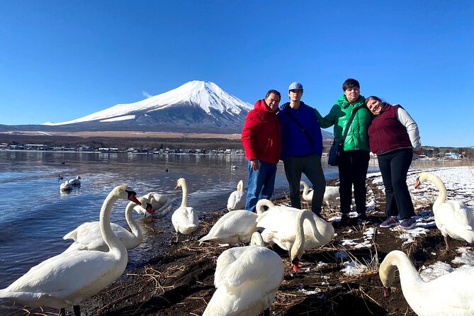Full Day Tour to Mount Fuji in Spanish - Stop 7: Aokigahara Forest, A Place With Heavy Stories