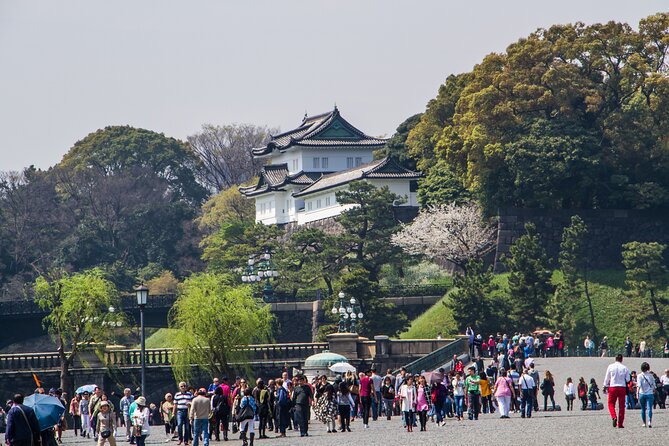 Full Tokyo: Meiji Shrine, Imperial Palace, Asakusa & Skytree - Key things I think you should know before you go