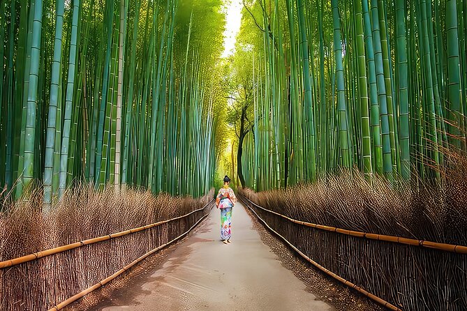 Fushimi Inari - Arashiyama: Torii Gates, Bamboo, Monkeys & Secret - Arashiyama Lunch Break and Togetsukyo Bridge Views