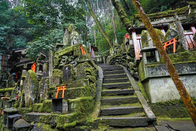 Fushimi Inari Hidden Hiking Tour (Private Option Available) - Hike up the mountain through the hidden trail