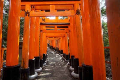 Fushimi Inari Hidden Hiking Tour (Private Option Available)