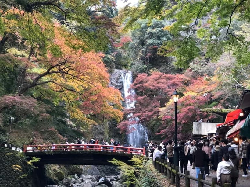 Get to know Minoo from Osaka. Katsuoji Temple, Ryuanji Waterfall and Ryuanji Temple - Katsuoji Temple and the daruma atmosphere that feels personal