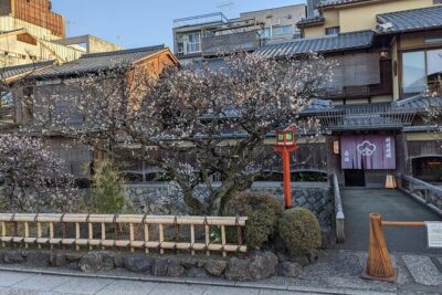 Gion Nocturno: Secretos y Leyendas de las Geishas