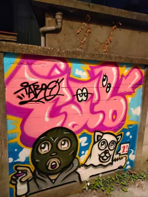 Graffiti in Tokyo Walking Tour: Shibuya and Harajuku - Why Elena Calderon’s street research changes what you see
