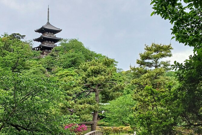 Guided History & Nature Exploration in the Yokohama Hill Area - Motomachi-Chukagai to Harbor View Park: The Port Photo Moment