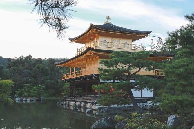 Guided Kyoto City Cherry Blossom One Day Private Tour - Price and logistics: what you are paying for, and what you still pay