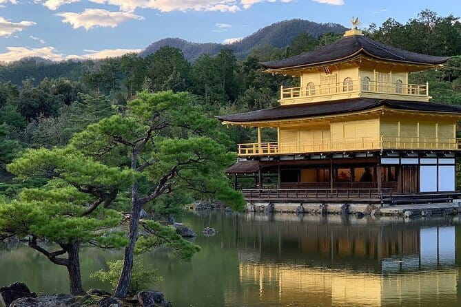 Guided Kyoto City Cherry Blossom One Day Private Tour - Stop 1: Arashiyama Bamboo Grove, how to enjoy it without rushing