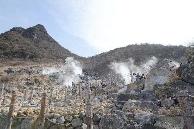 Hakone 8 hour Private Tour with Government-Licensed Guide - How a private walking day in Hakone actually plays out