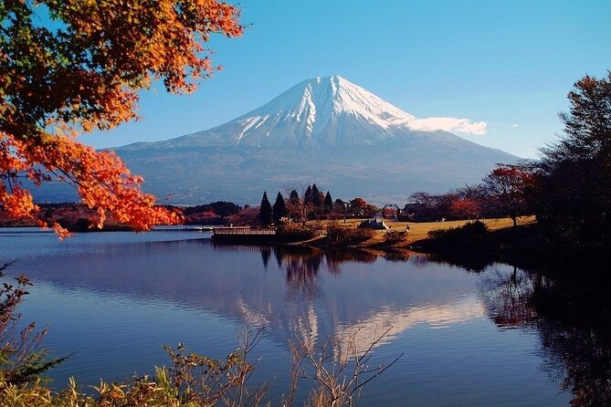 Hakone 8 hour Private Tour with Government-Licensed Guide - Owakudani and the black eggs, the volcanic highlight you plan around