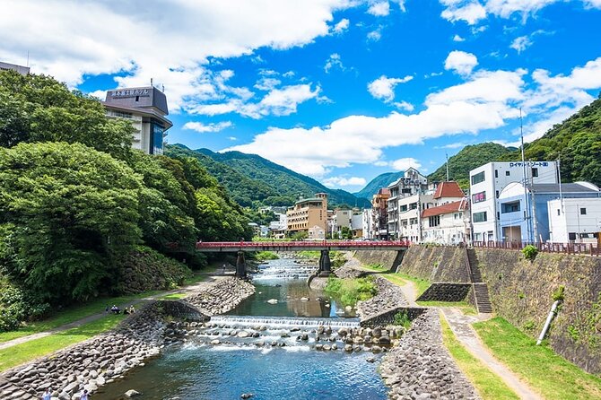 Hakone 8 hour Private Tour with Government-Licensed Guide - Price and logistics, where the value comes from