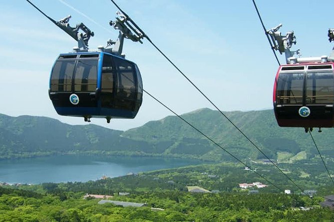 Hakone 8 hour Private Tour with Government-Licensed Guide - Lake Ashinoko and Hakone Shrine, start with the classics