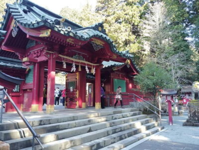 Hakone Adventure: Explore Nature’s Beauty and Tranquility