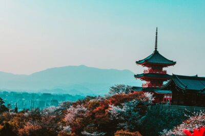 Hakone and Mt. Fuji Day Trip with Private Vehicle
