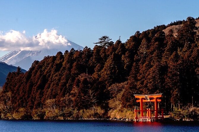 Hakone and Mt Fuji Private Custom Tour with English Guide - Starting in Hakone: Owakudani Black Eggs and Volcanic Atmosphere