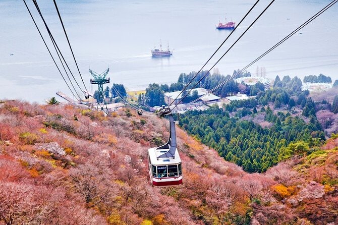Hakone and Mt Fuji Private Custom Tour with English Guide - Fuji-ward Stops: Saiko, Shiraito Falls, and the Reflection Theme