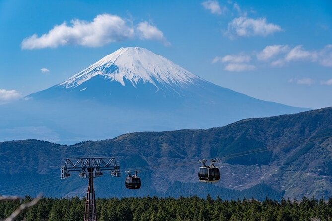 Hakone and Mt Fuji Private Custom Tour with English Guide - Optional Add-ons: Narusawa Ice Cave, Fugaku Wind Cave, Glass Museum, and Mishima