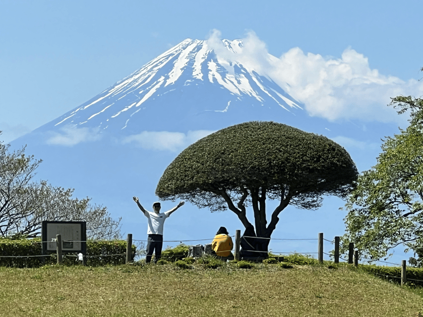 Hakone Hachiri: Old Tokaido Highway Hiking Tour - Key highlights worth planning around
