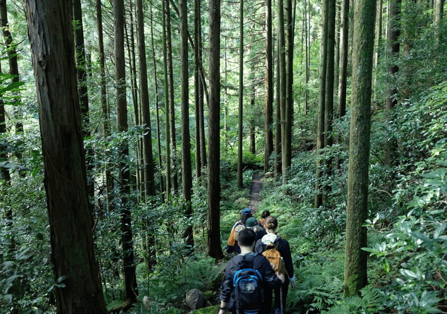 Hakone Hachiri: Old Tokaido Highway Hiking Tour - The 400-year-old amasake break that actually energizes