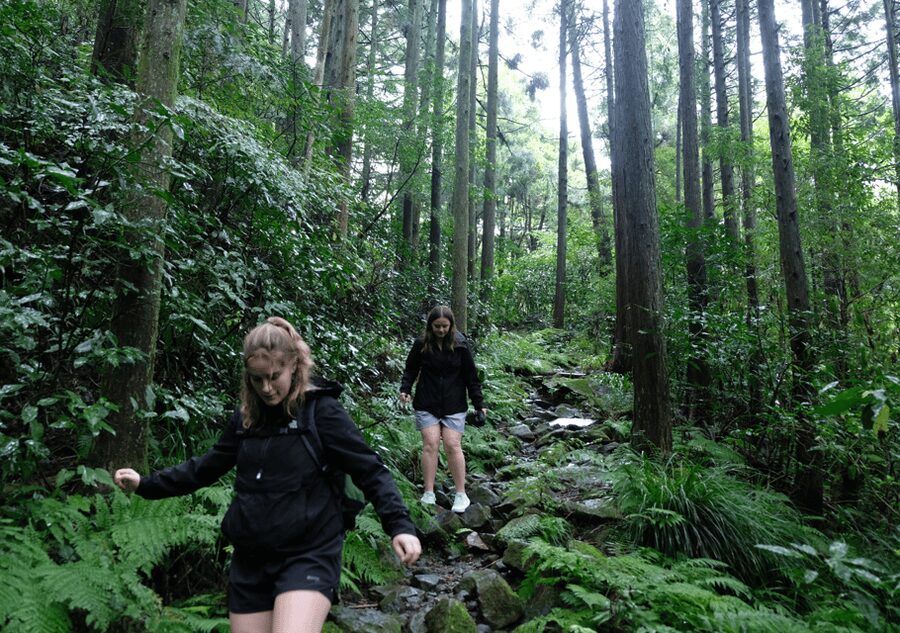 Hakone Hachiri: Old Tokaido Highway Hiking Tour - Cedar Avenue and Hakone Checkpoint, Edo travel control in stone