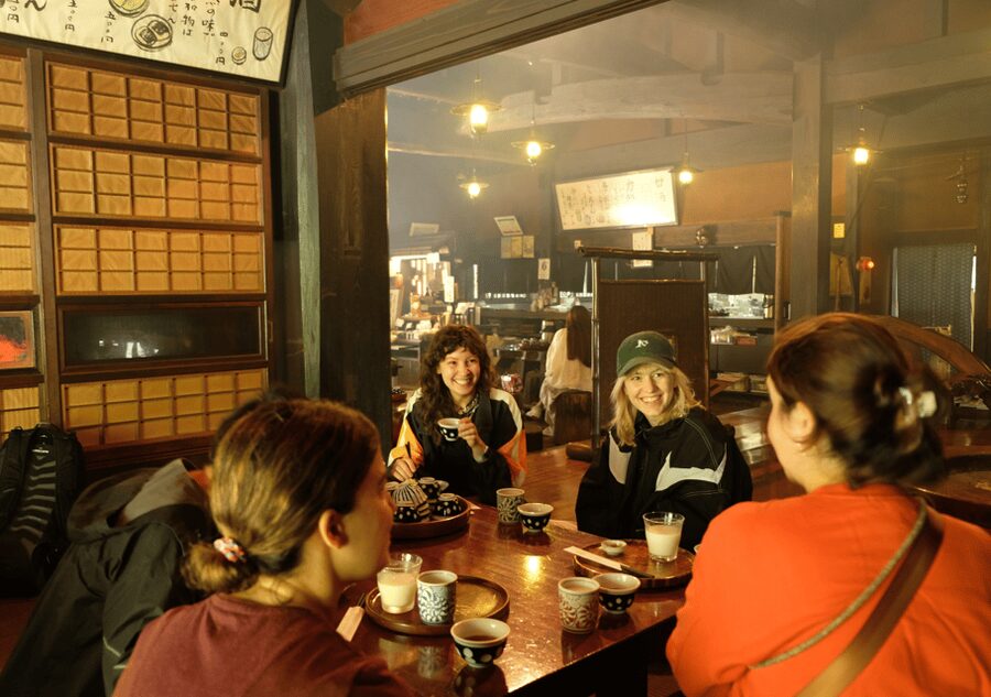 Hakone Hachiri: Old Tokaido Highway Hiking Tour - Past Hakone Pass by bus, then castle ruins and a secret photo stop