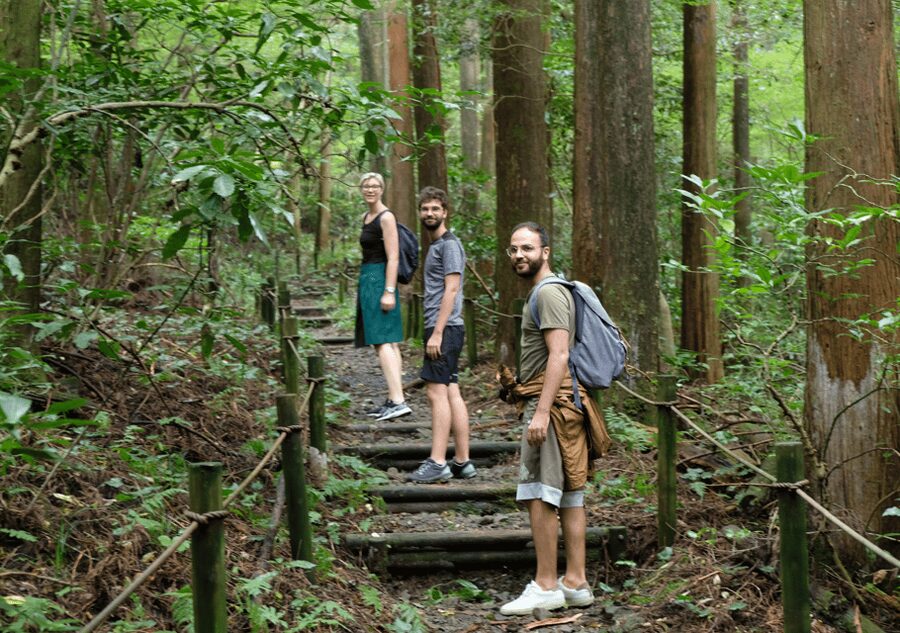 Hakone Hachiri: Old Tokaido Highway Hiking Tour - Start at Hakone-Yumoto, then get onto the trail fast