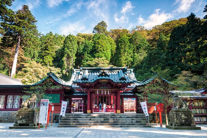 Hakone Private One Day Tour From Tokyo: Mt Fuji, Lake Ashi, Hakone National Park - Hakone Ropeway and aerial views through the volcano zone